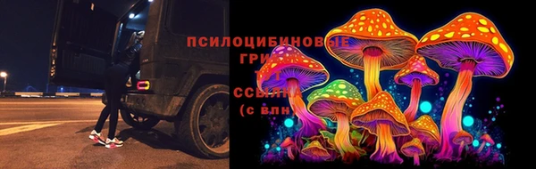 СК Арсеньев