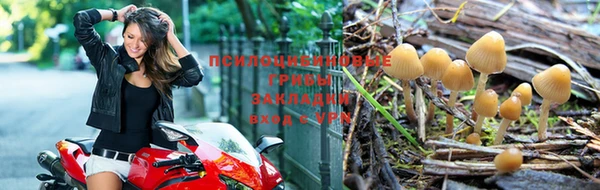 метадон Баксан