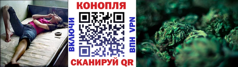 Купить закладки  Сунжа  Конопля White Widow 